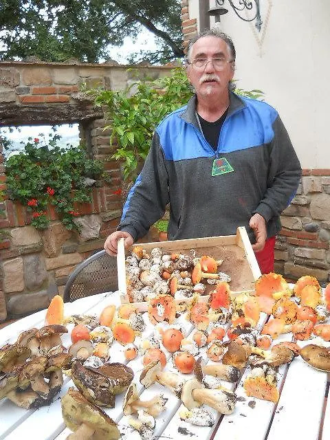 Çiftlik konaklama Agriturismo Poggio La Buca Villa Civitella Marittima