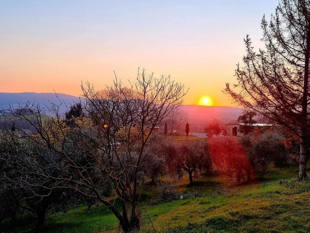 Agriturismo Poggio La Buca Villa Civitella Marittima 0*,  Italia