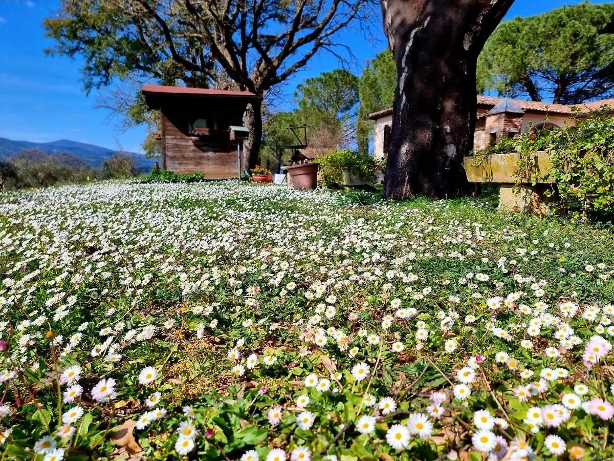 Agriturismo Poggio La Buca Villa Civitella Marittima İtalya