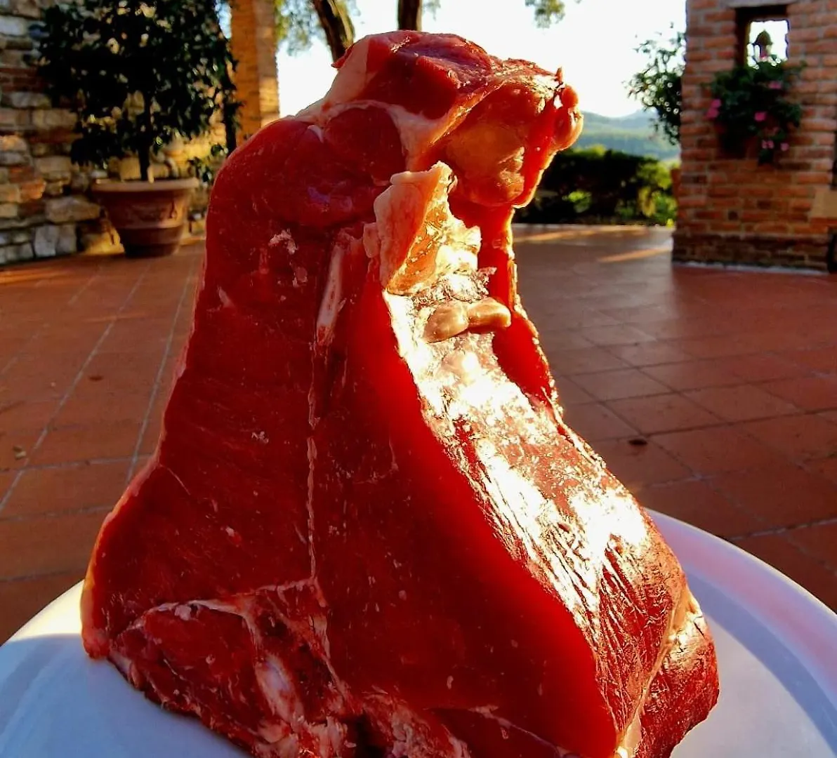 Çiftlik konaklama Agriturismo Poggio La Buca Villa Civitella Marittima İtalya